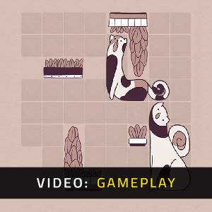 Cats Organized Neatly - Gameplay