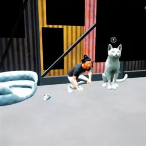 Cats Ritual - Puzzels oplossen