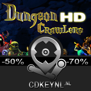 Dungeon Crawlers HD Pc