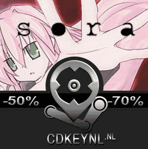 Sora Pc