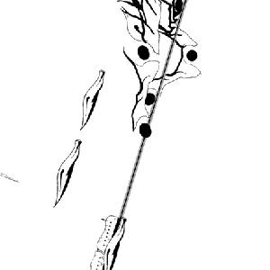 Chasing Light - Binnenwereld