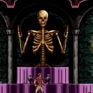 Chronicles of the Wolf - Skelet