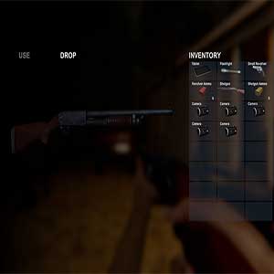 weapons and ammunition