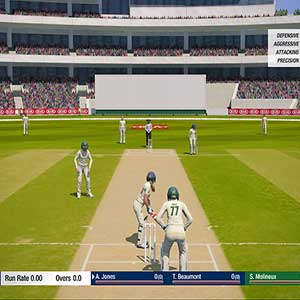 Cricket 19 - Slaan met de Knuppel