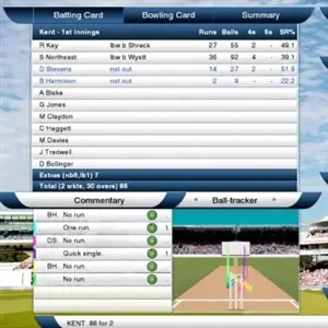 Cricket Captain 2014 - Statistieken