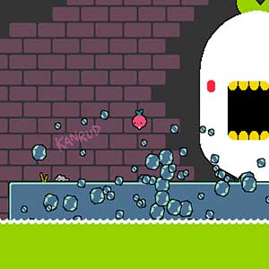 Reuzen Radijs Achtervolging