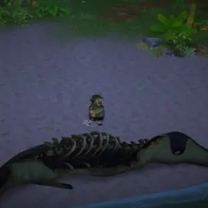DAVE THE DIVER In the Jungle - Zeeskelet