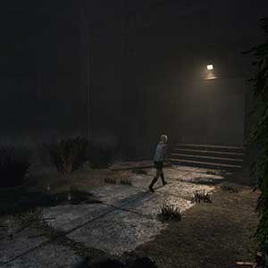 een stap in de mist zetten