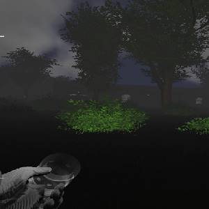 Deadly Forest Beta - Struiken