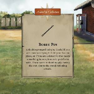 Death Trick Double Blind - Bobby Pin