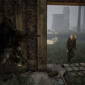 guns down scavengers