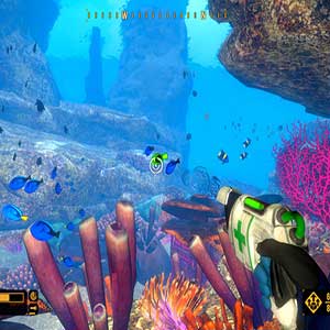 ontspannende exploratie