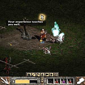Diablo 2 Ervaringsaltaar