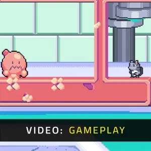 Dimensional Animals - Gameplay