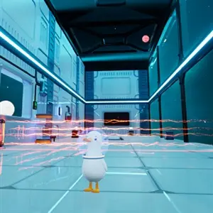 Dodo Duckie - Laserroosters