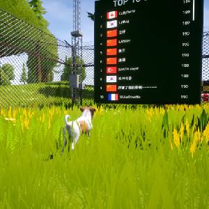 Dogs Club - Top 10