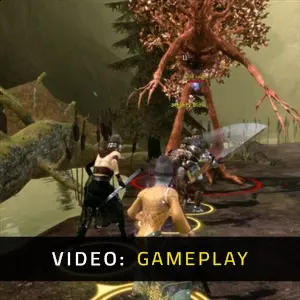 Dragon Age Origins - Video Spelervaring