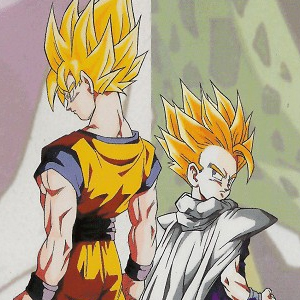 Dragon Ball Z The Call of Destiny