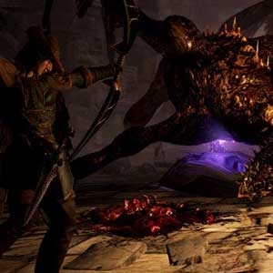 Dragons Dogma Dark Arisen Vijanden