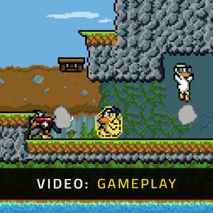 Duck Game - Video Spelletjes