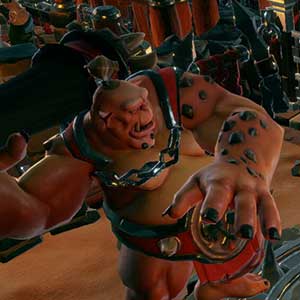 Meesteraanval de leider