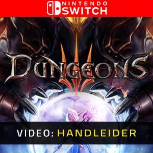 Dungeons 3 Switch
