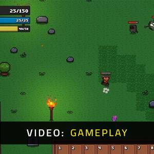 DunHero - Video Gameplay
