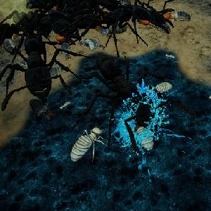 Empires of the Undergrowth Exploding Ants - Verpletterd