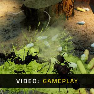 Empires of the Undergrowth Exploding Ants - Gameplayvideo