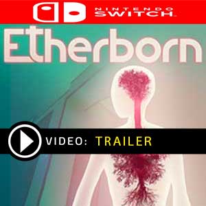 Koop Etherborn Nintendo Switch Goedkope Prijsvergelijke