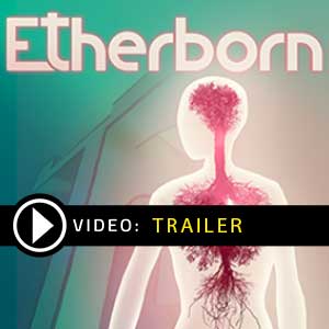 Koop Etherborn CD Key Goedkoop Vergelijk de Prijzen