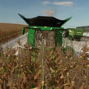 Farming Simulator 19 - Maïsveld