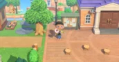 Animal Crossing Patch 3.0.3 Herstelt Catalogus UI en Jubileumitem