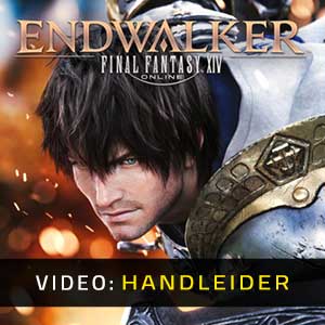 Final Fantasy 14 Endwalker Video-opname