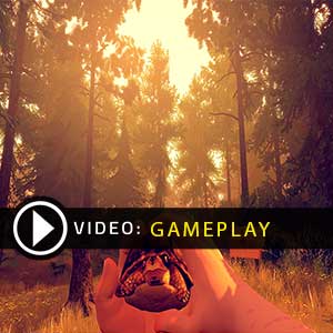 FireWatch Gameplay Video