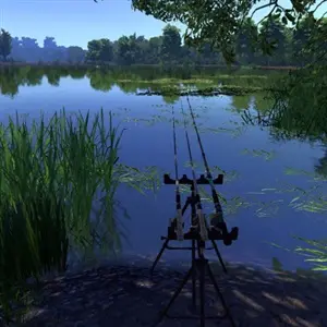 Fisher Online - Vissteun