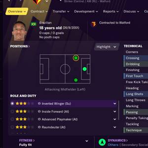 Football Manager 2021 In-game Editor Overzicht