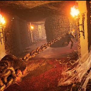 Forest Hills The Last Year - Ketting