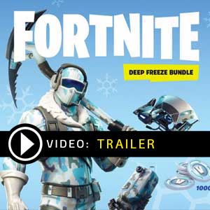 Koop Fortnite Deep Freeze Bundle Goedkoop Vergelijk de Prijzen