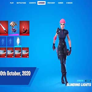 Fortnite Wildcat Bundle Nintendo Switch - Verblindende Lichten