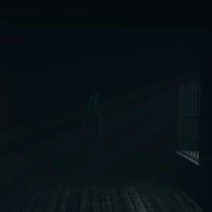 Ghost Exile - Entiteit