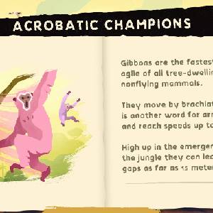 Gibbon Beyond the Trees - Acrobatische Kampioenen