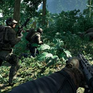 Gray Zone Warfare - Bos