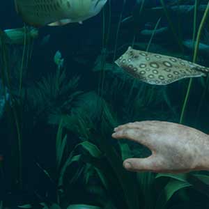 Een veelheid aan fauna en flora