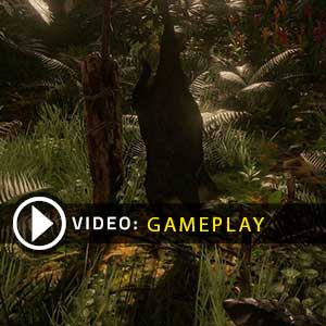 Green Hell Gameplay Video