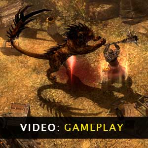 Grim Dawn Gameplay Video