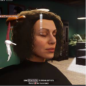 Hairdresser Simulator Haar Borstelen