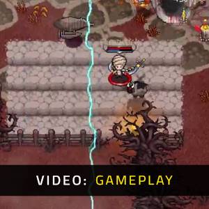 Hero Siege - Video spelletjes