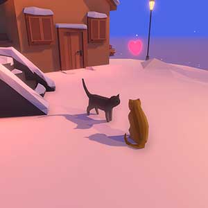 Hidden Paws Poezenpaar