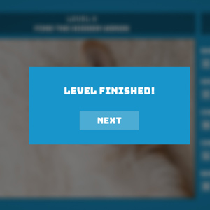 Hidden Words - Niveau voltooid